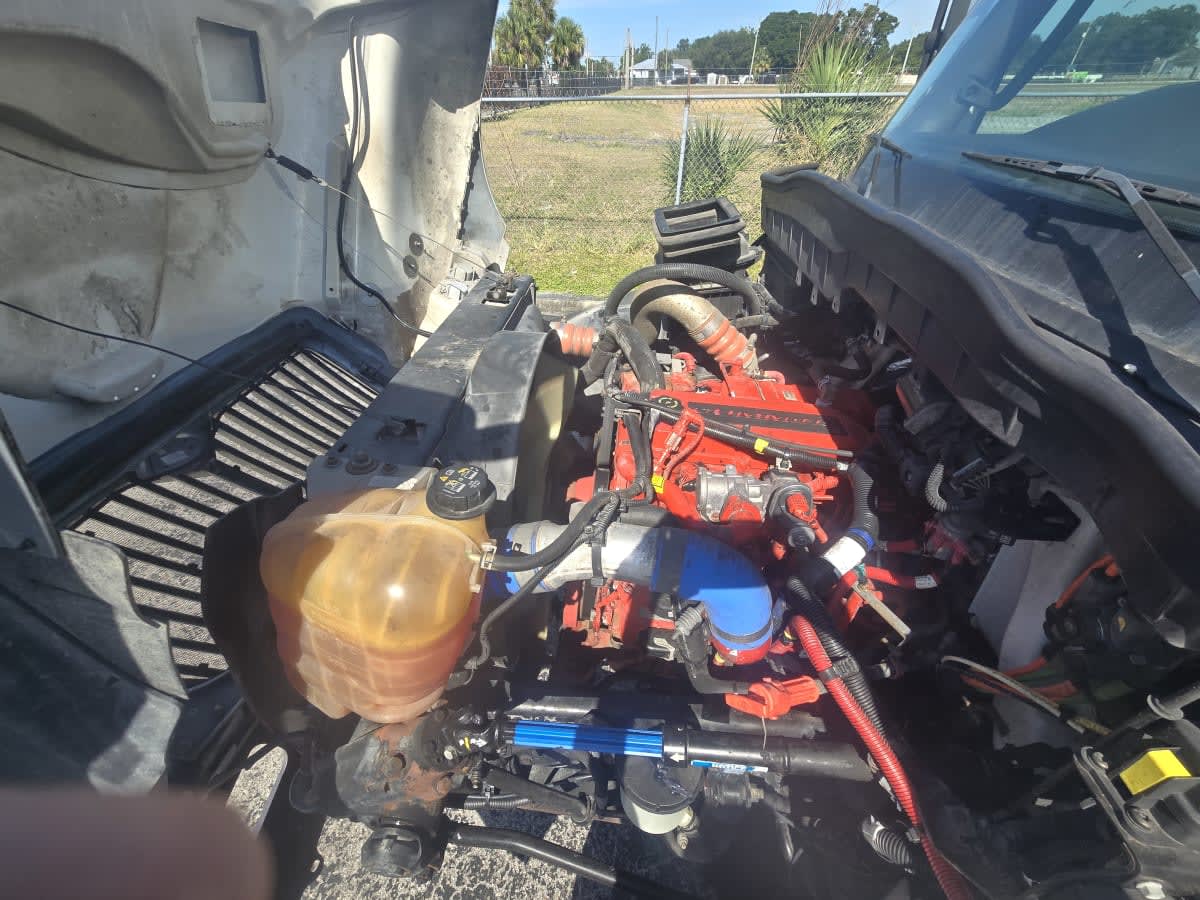 2020 Navistar International MV607 (4X2) 251780