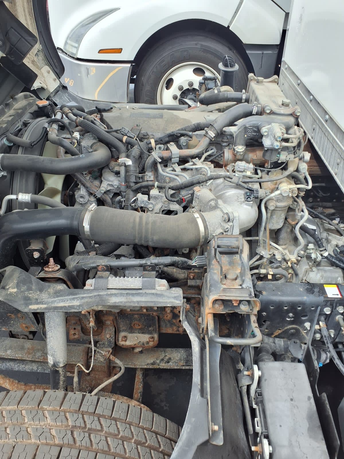 2020 Chevrolet Motor Div. LCF 4500HD 251894