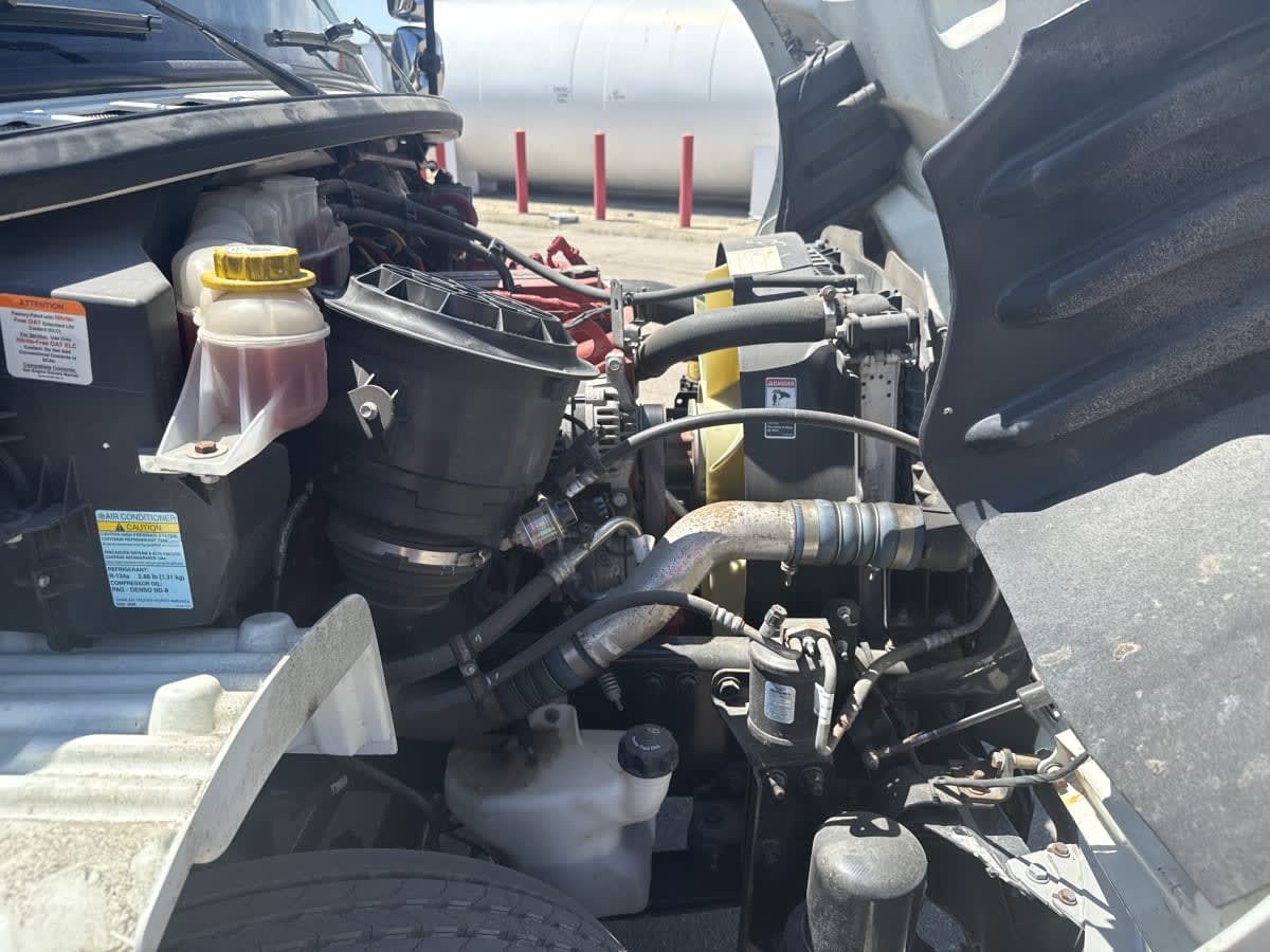 2020 Freightliner/Mercedes M2 106 252358