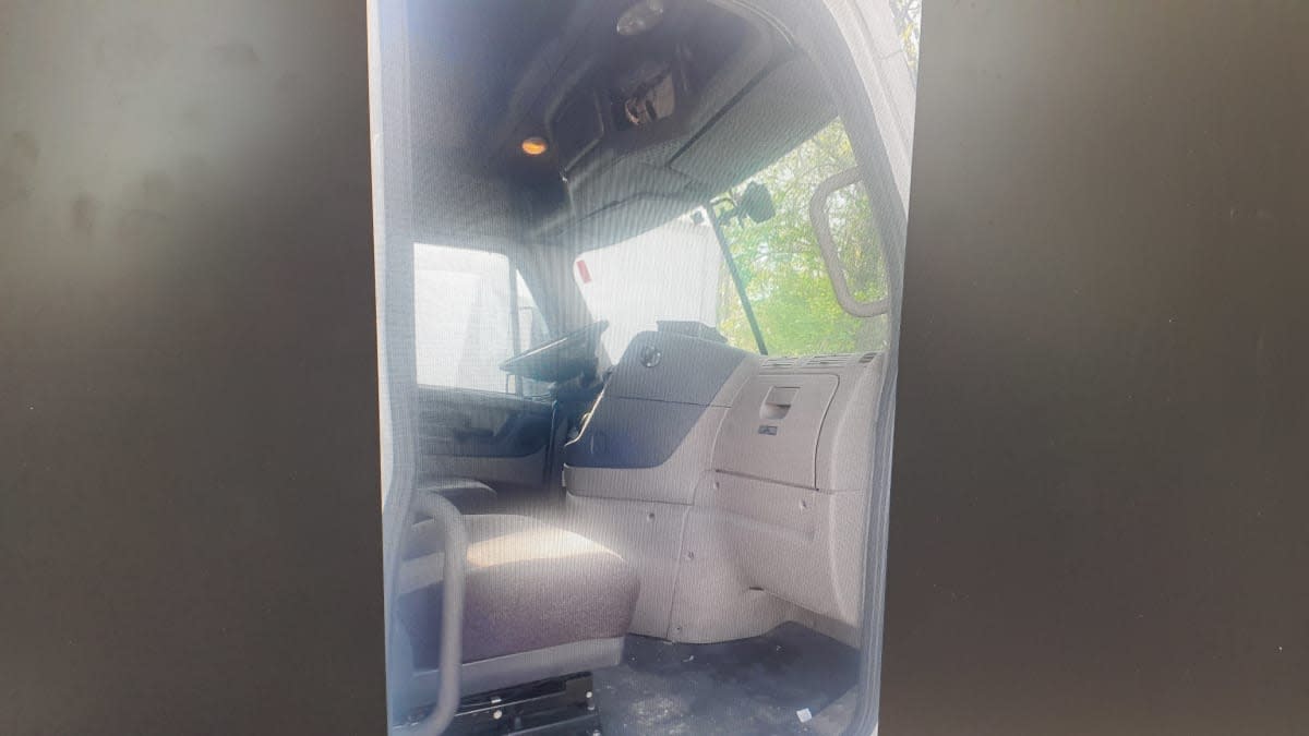 2020 Freightliner/Mercedes CASCADIA 125 252533