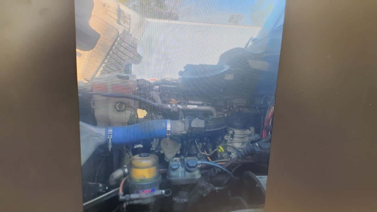 2020 Freightliner/Mercedes CASCADIA 125 252533