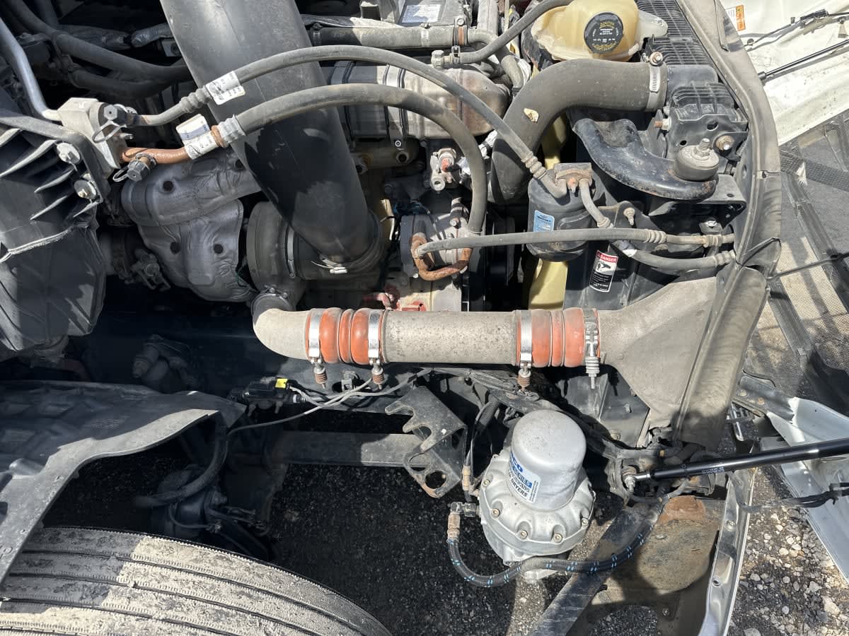 2020 Freightliner/Mercedes NEW CASCADIA PX12664 252545