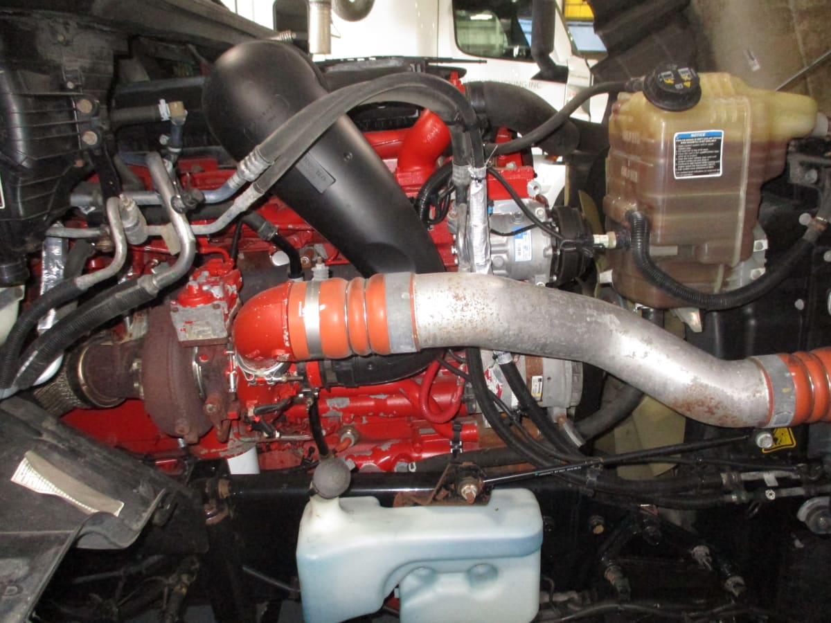 2020 International - image 10