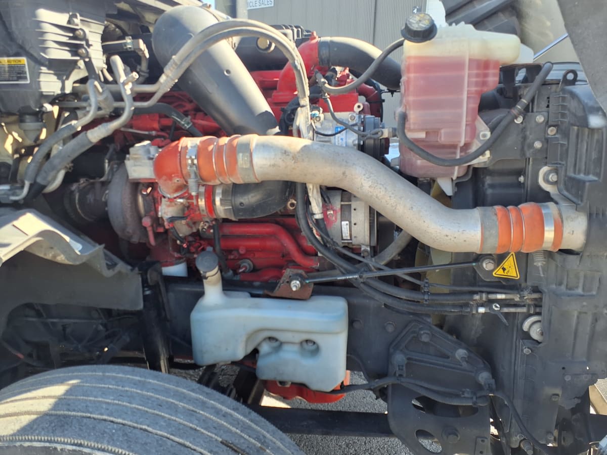 2020 International - image 10