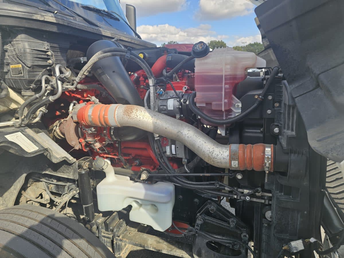 2020 International - image 19