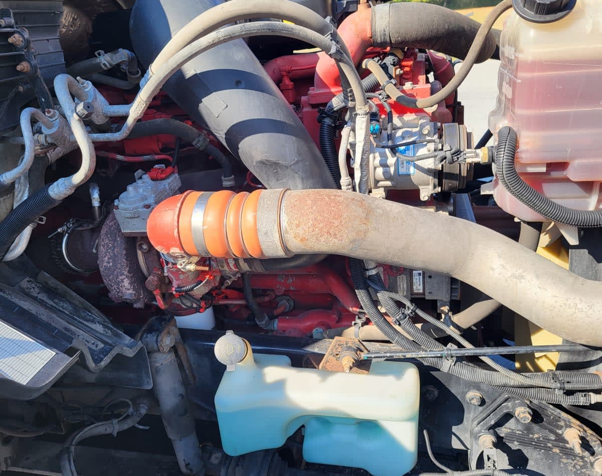 2020 International - image 9