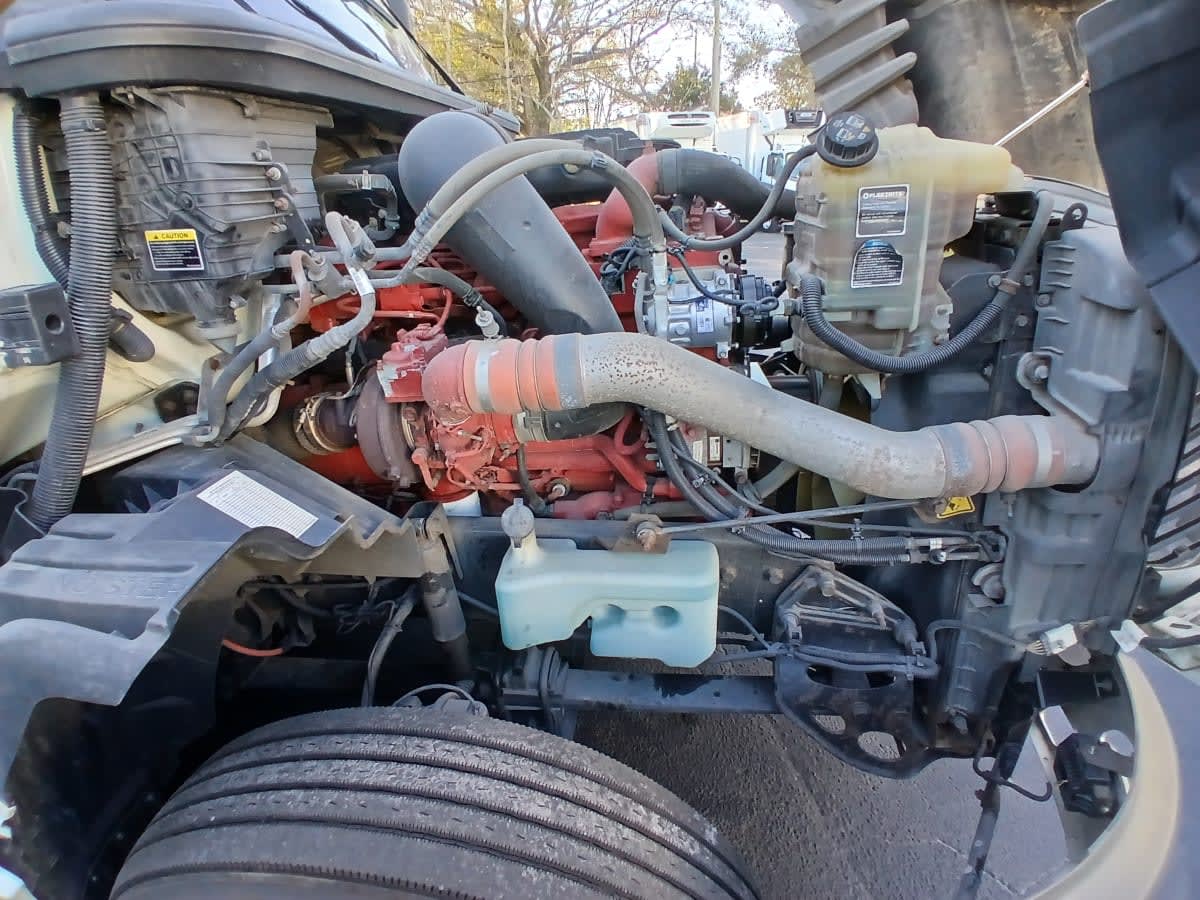 2020 International - image 12