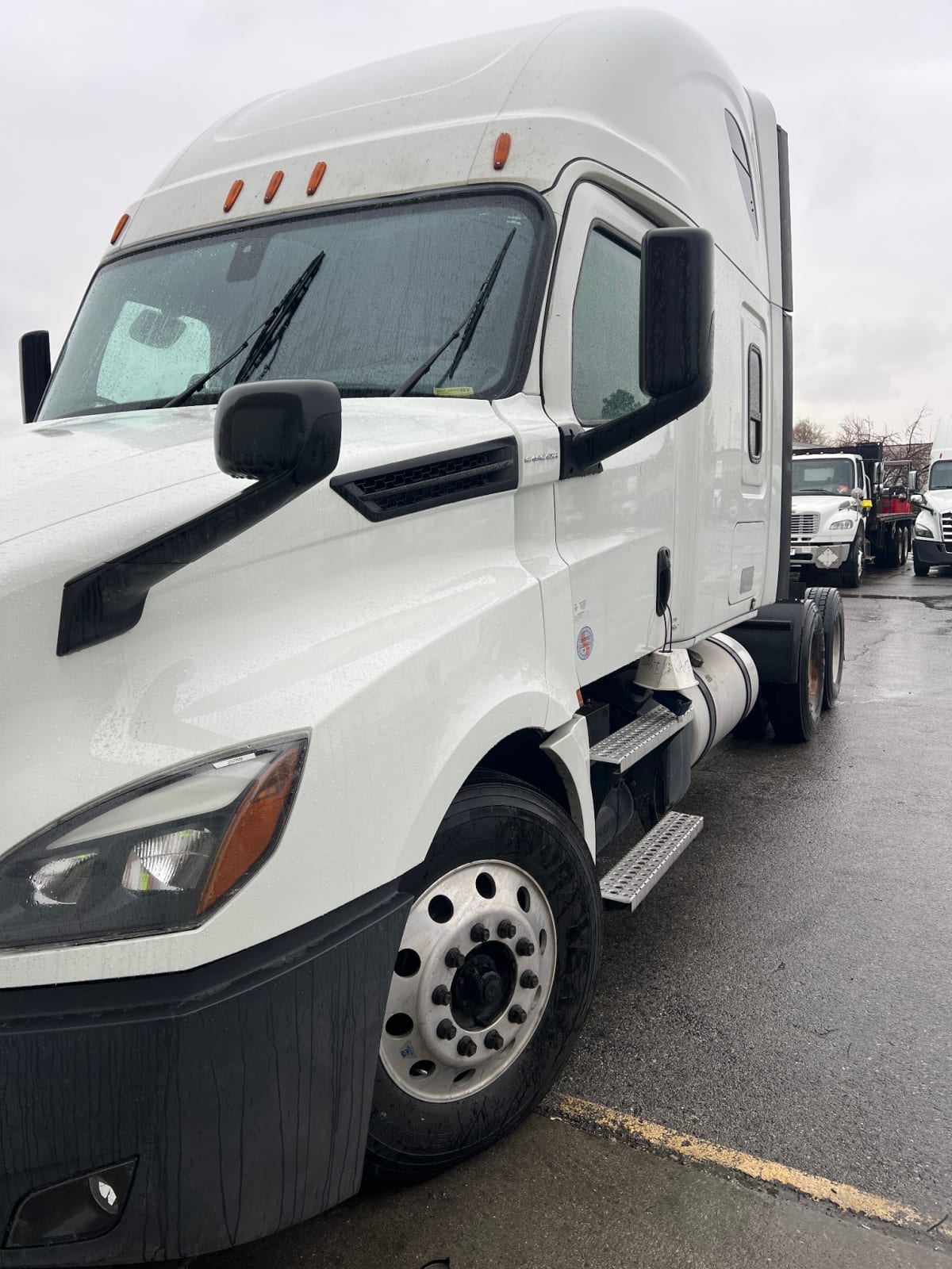 2020 Freightliner/Mercedes NEW CASCADIA PX12664 252909
