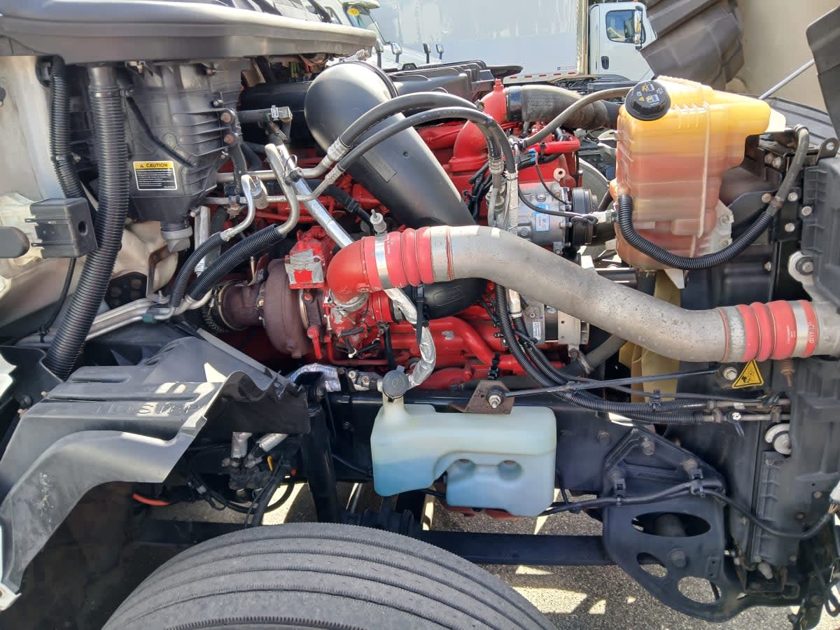 2020 International - image 10