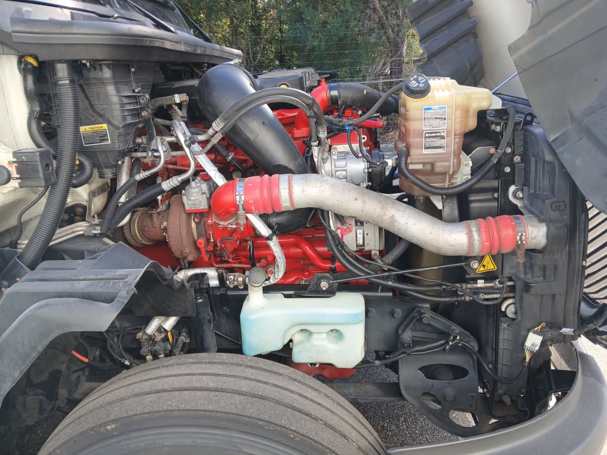 2020 International - image 15