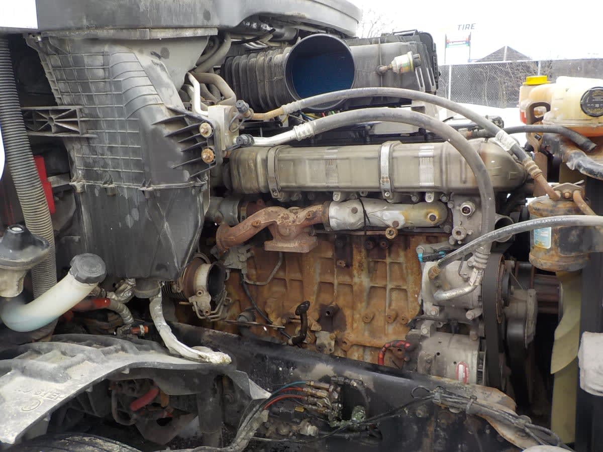 2021 Freightliner/Mercedes NEW CASCADIA PX12664 254893