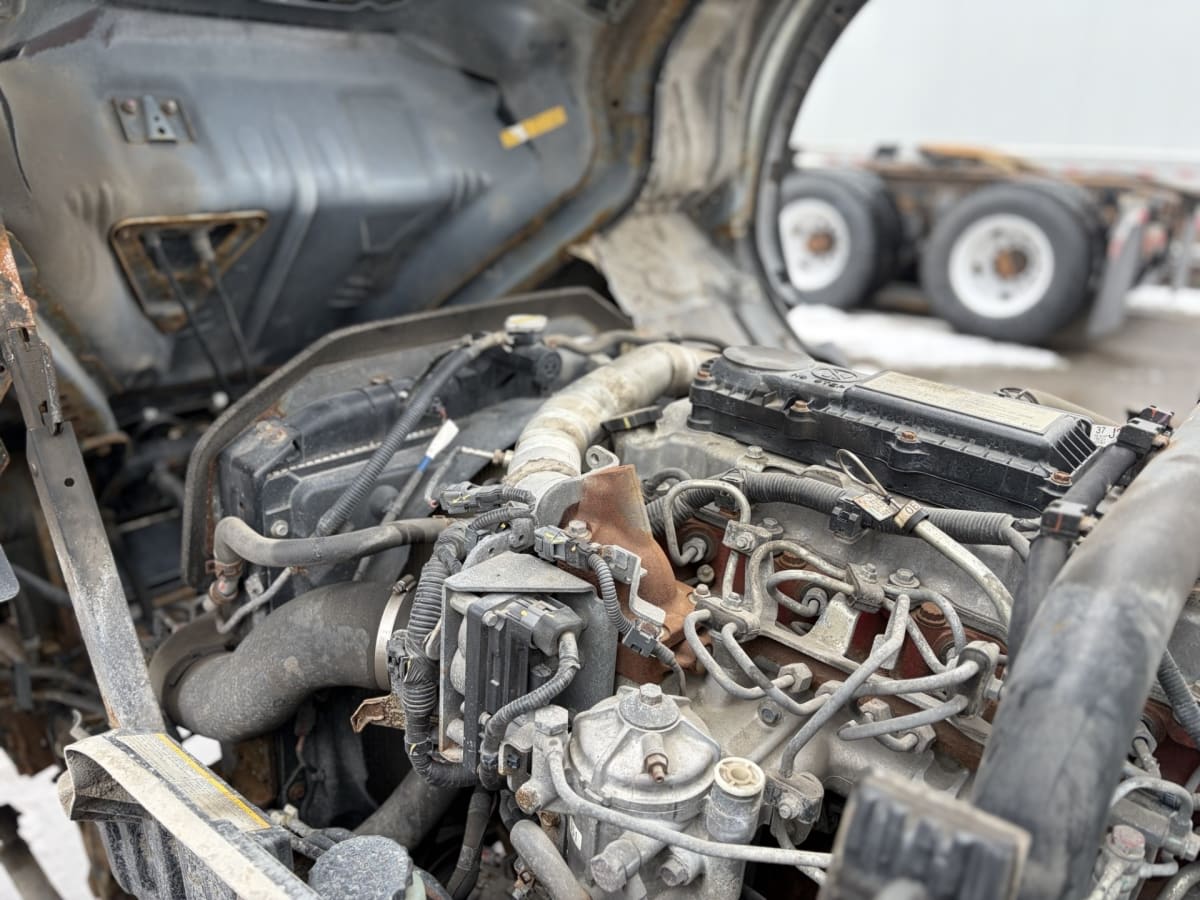 2019 Hino HINO 195 256047