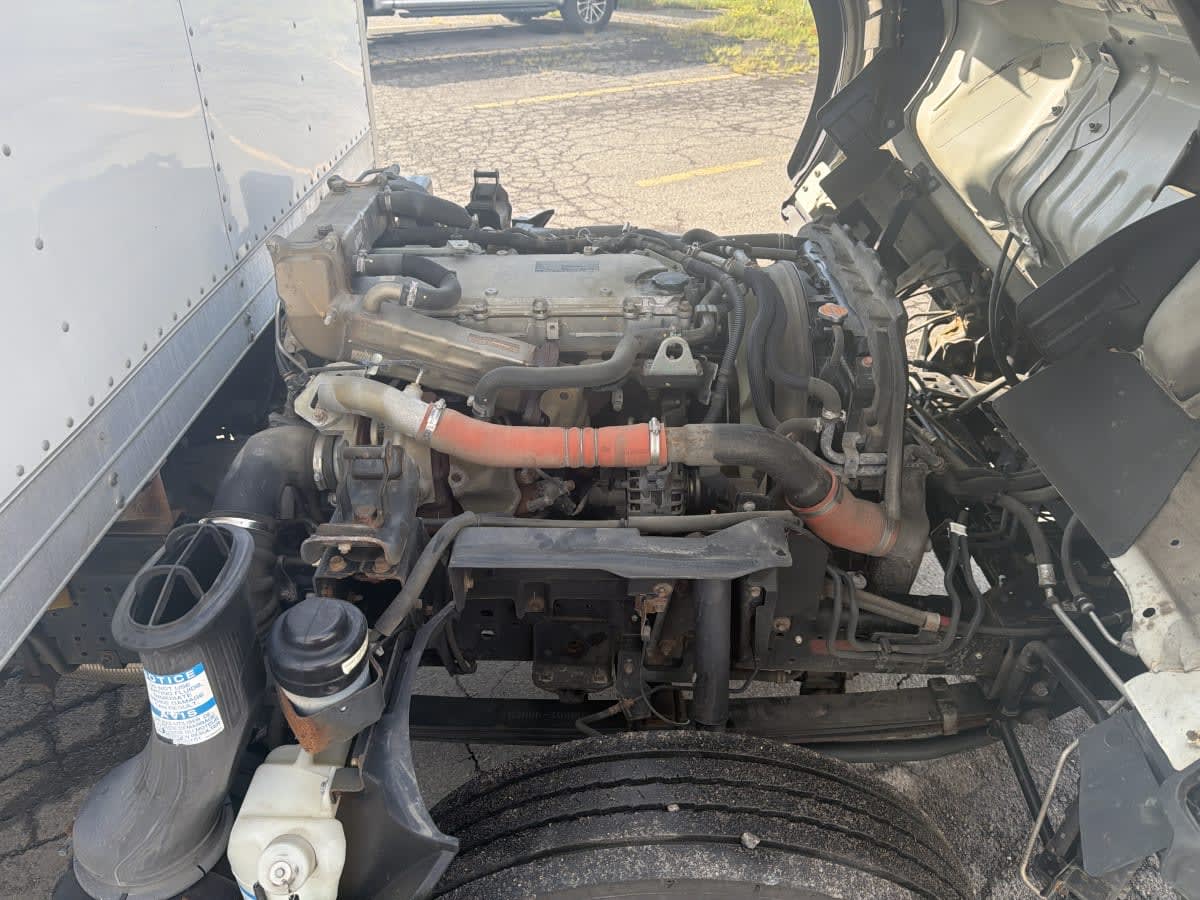 2019 Isuzu NQR 262460