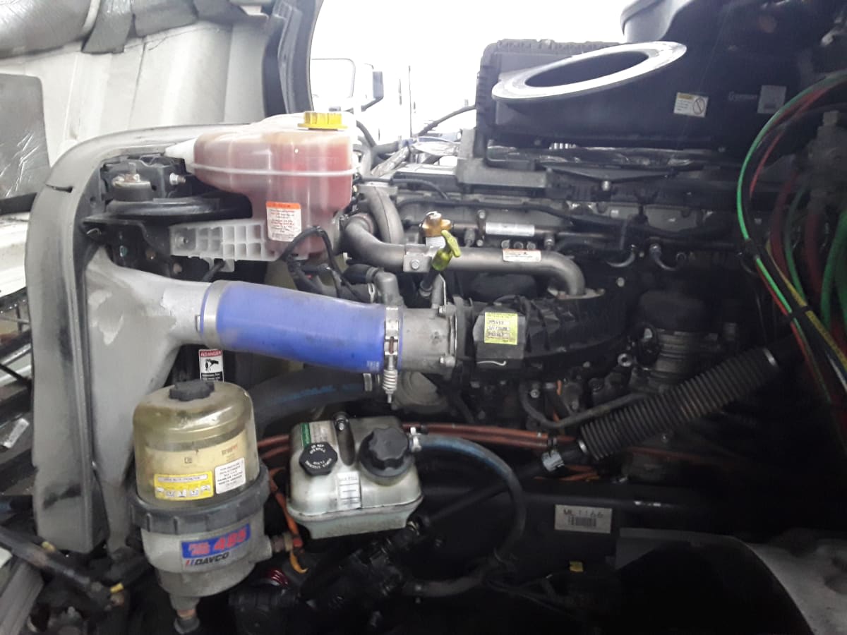 2021 Freightliner/Mercedes NEW CASCADIA PX12664 262894