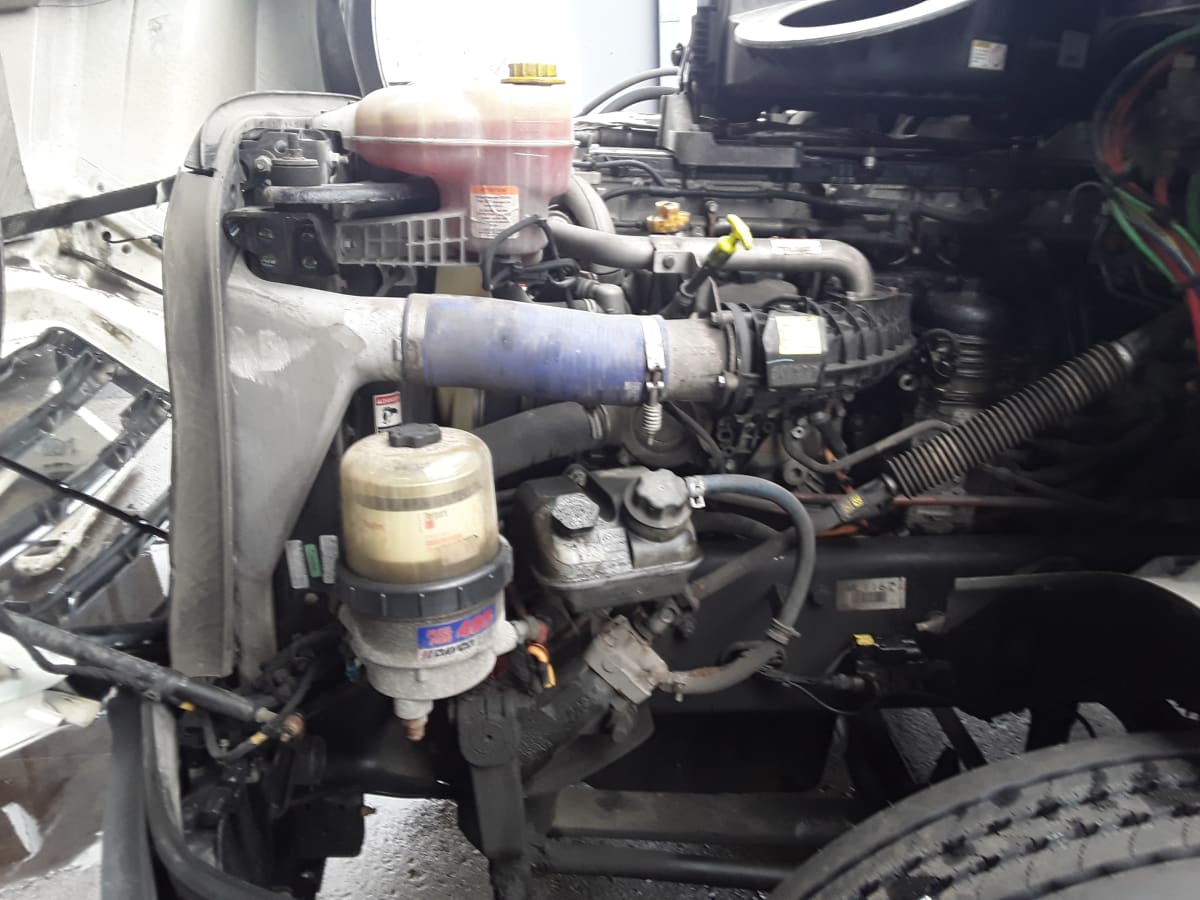 2021 Freightliner/Mercedes NEW CASCADIA PX12664 262895