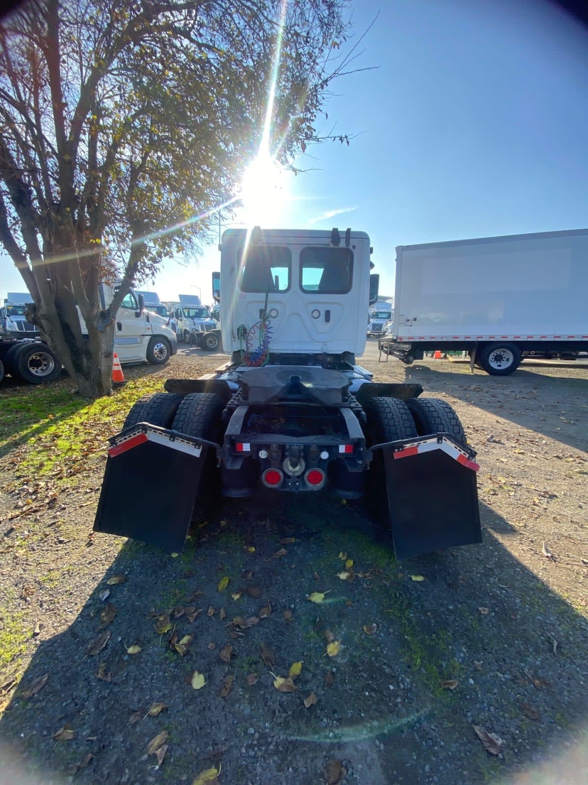 2020 Freightliner - image 5