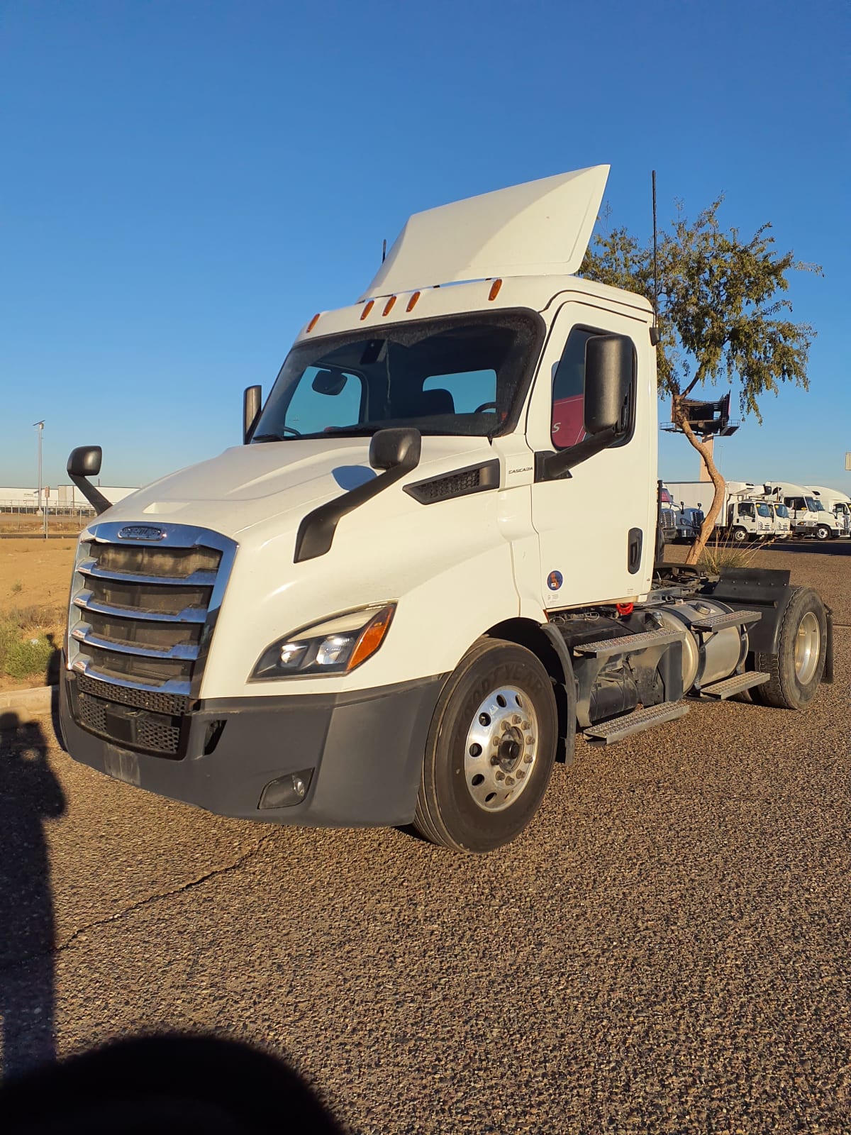 2020 Freightliner/Mercedes NEW CASCADIA 116 264761
