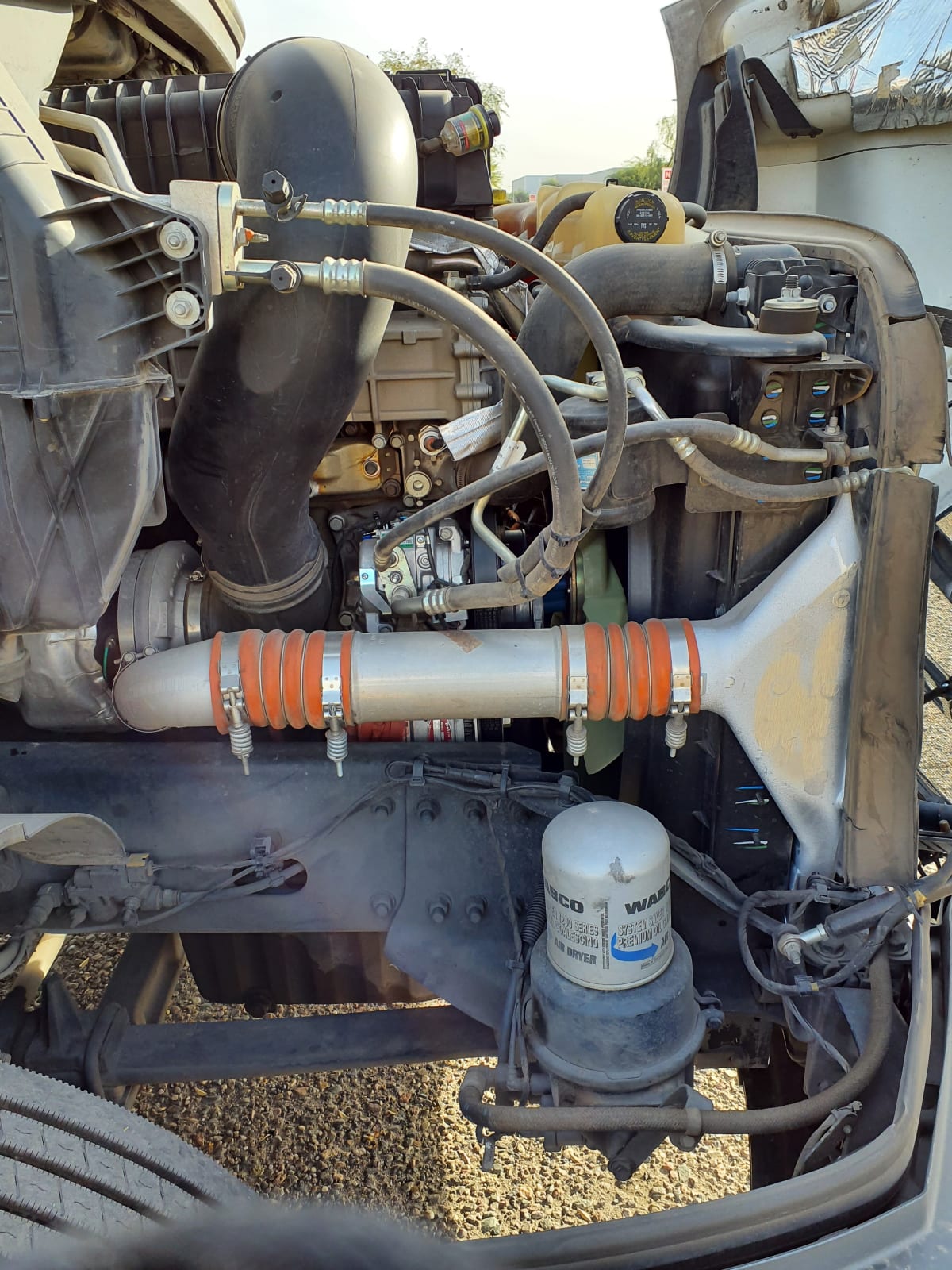 2020 Freightliner/Mercedes NEW CASCADIA 116 264762