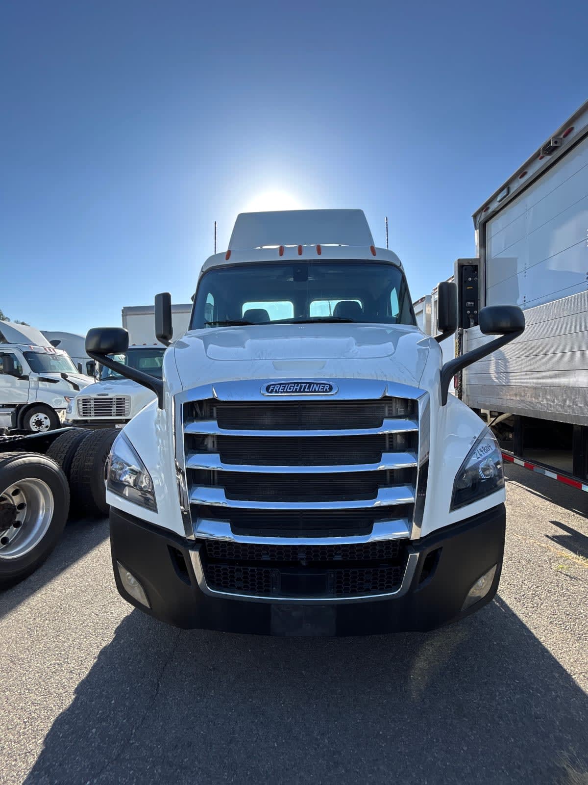 2020 Freightliner/Mercedes NEW CASCADIA 116 264804