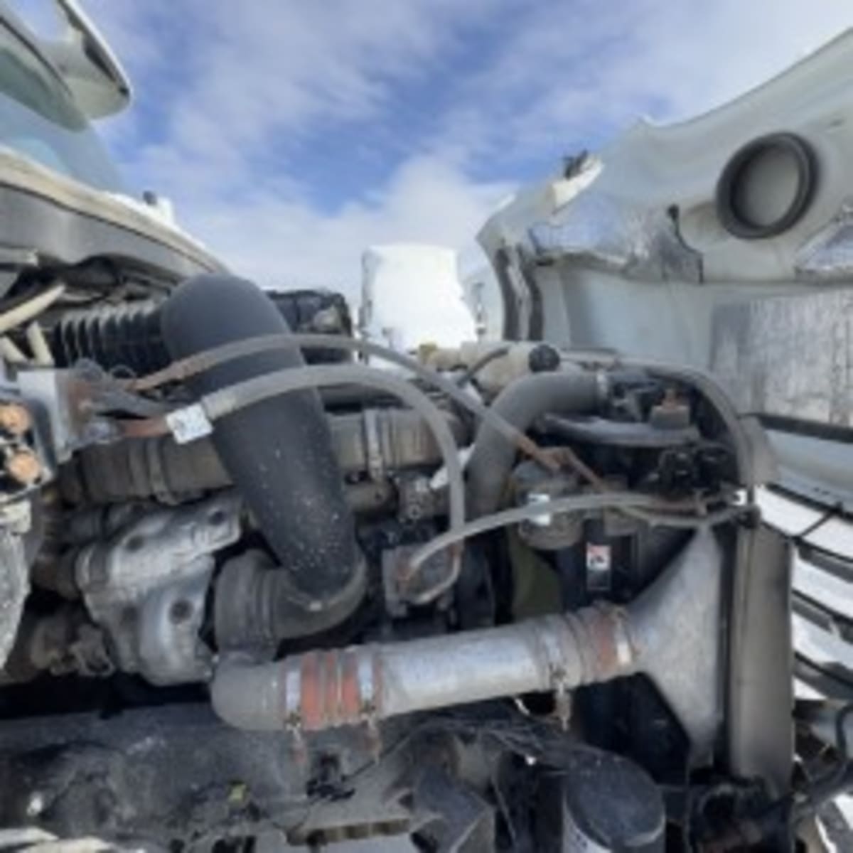 2020 Freightliner - image 11