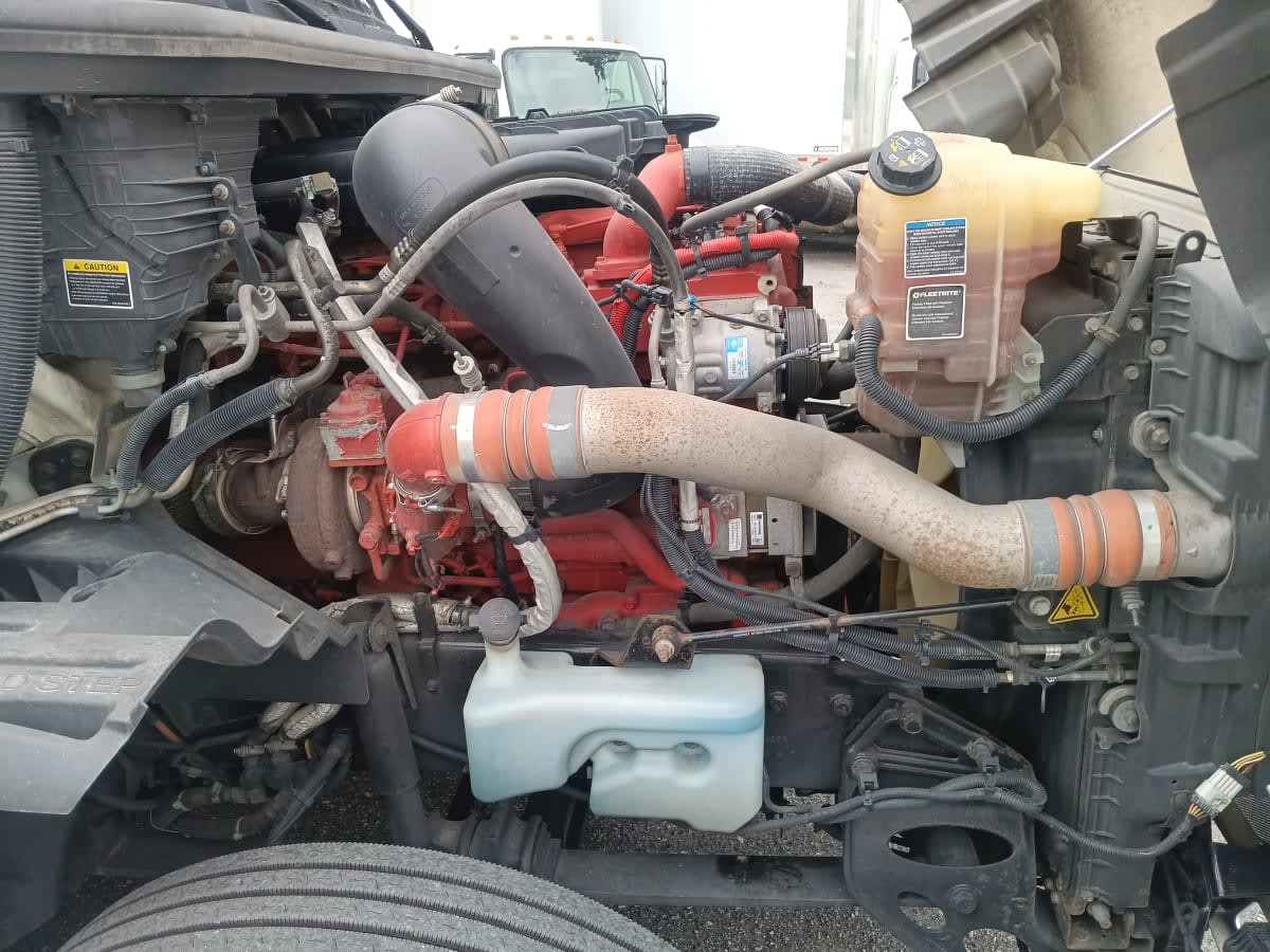 2020 International - image 14