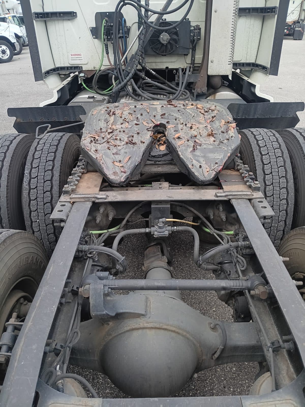 2020 International - image 15