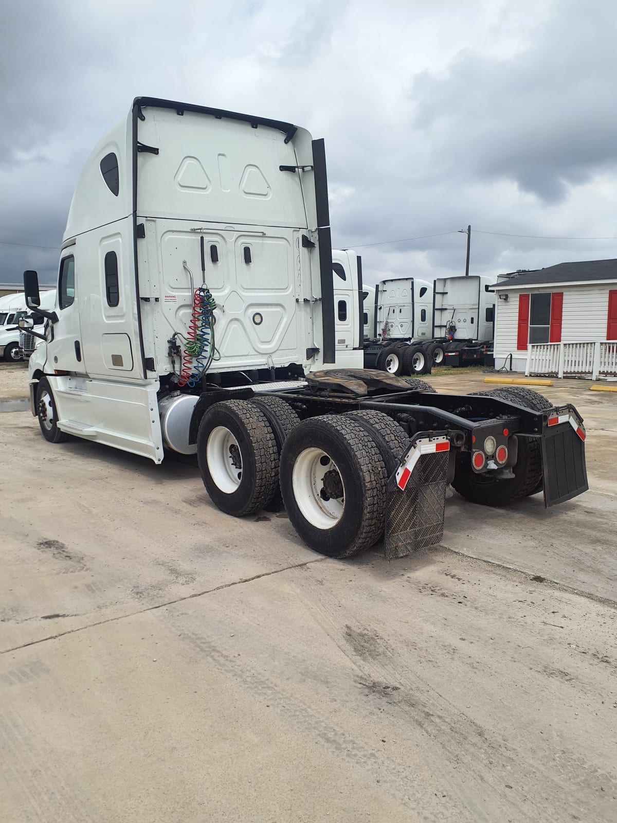 2020 Freightliner/Mercedes NEW CASCADIA PX12664 265762