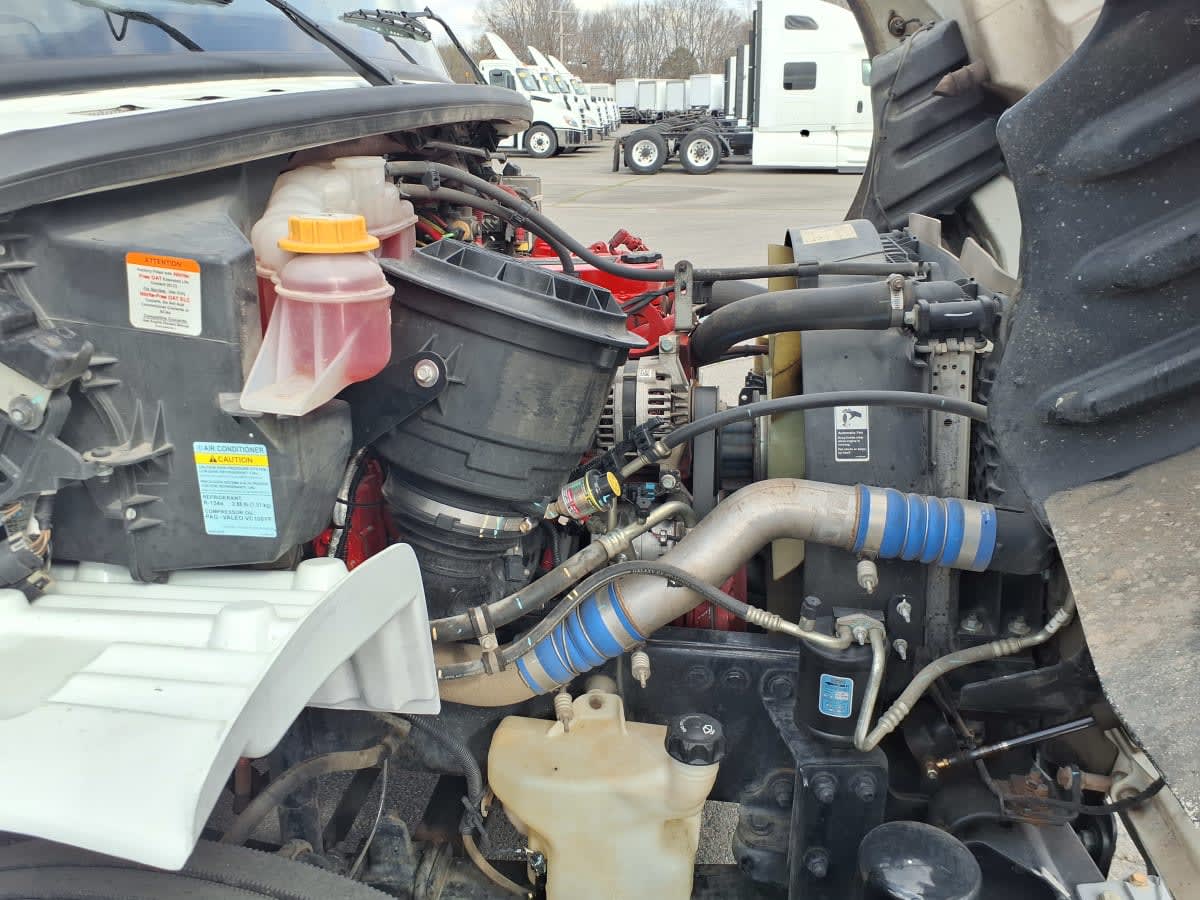 2021 Freightliner/Mercedes M2 106 266464