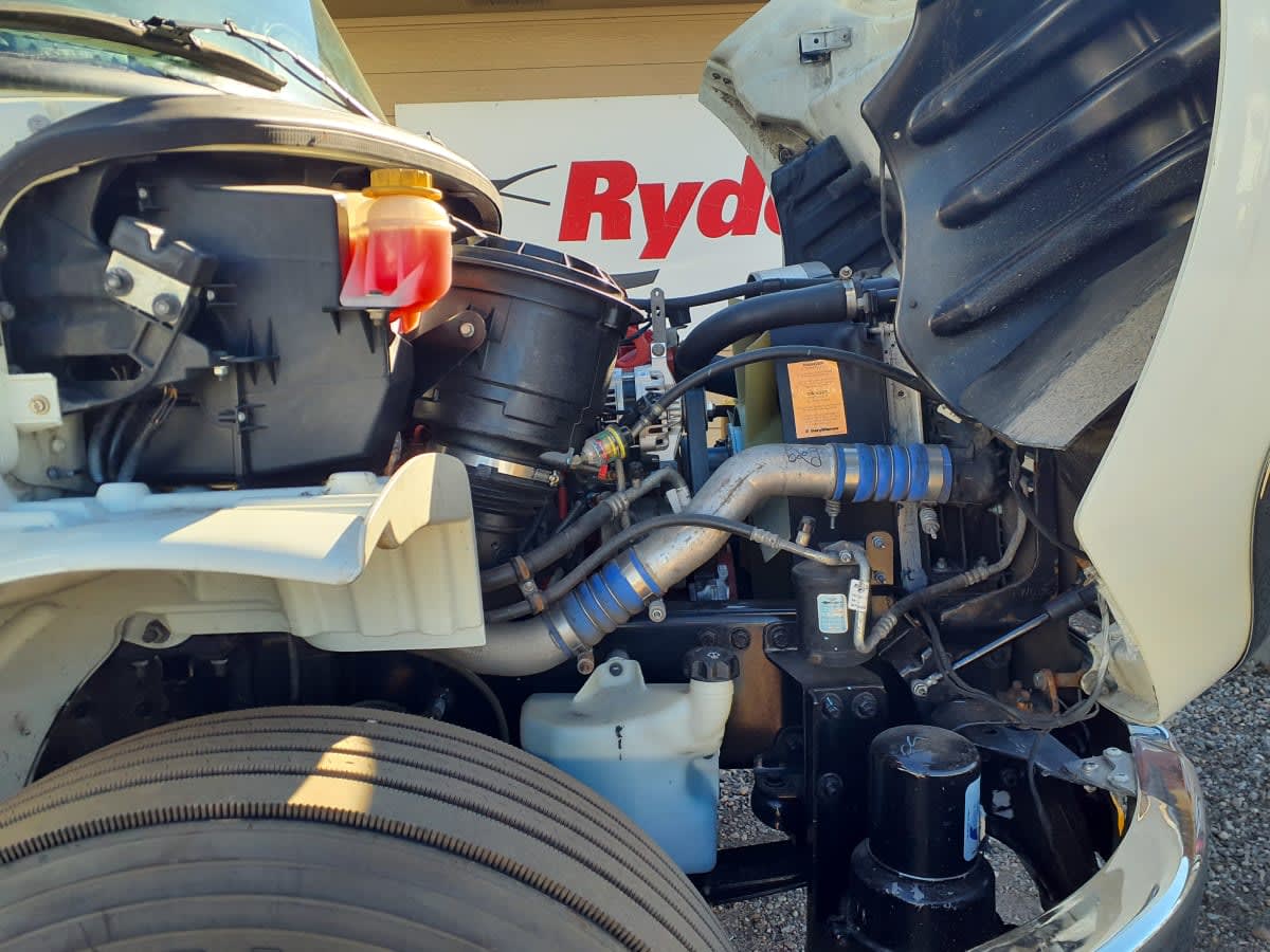 2020 Freightliner/Mercedes M2 106 266847