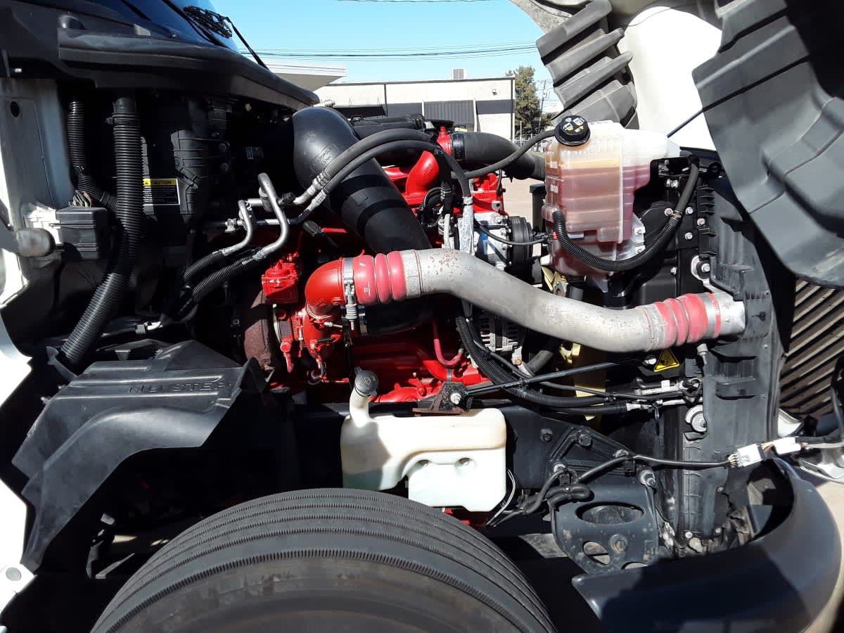 2020 International - image 10