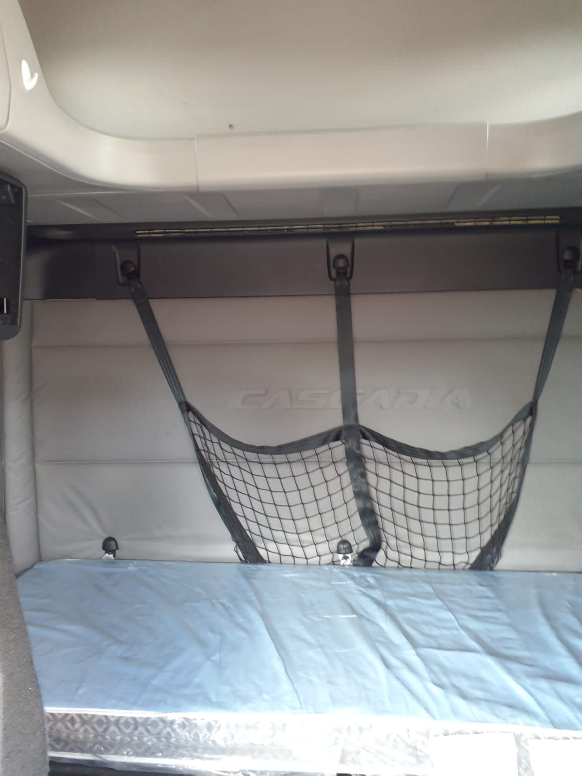 2020 Freightliner/Mercedes NEW CASCADIA PX12664 268734