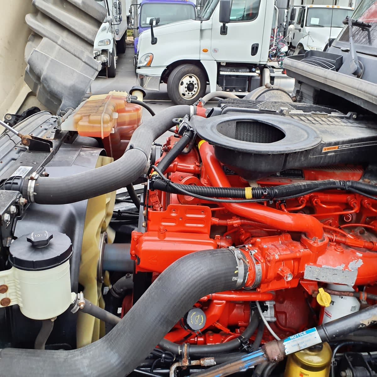 2020 International - image 9