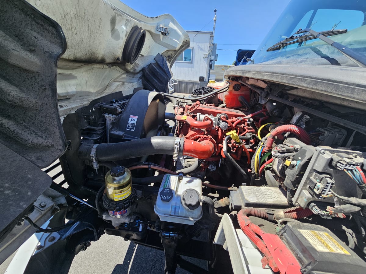 2021 Freightliner/Mercedes M2 106 269406