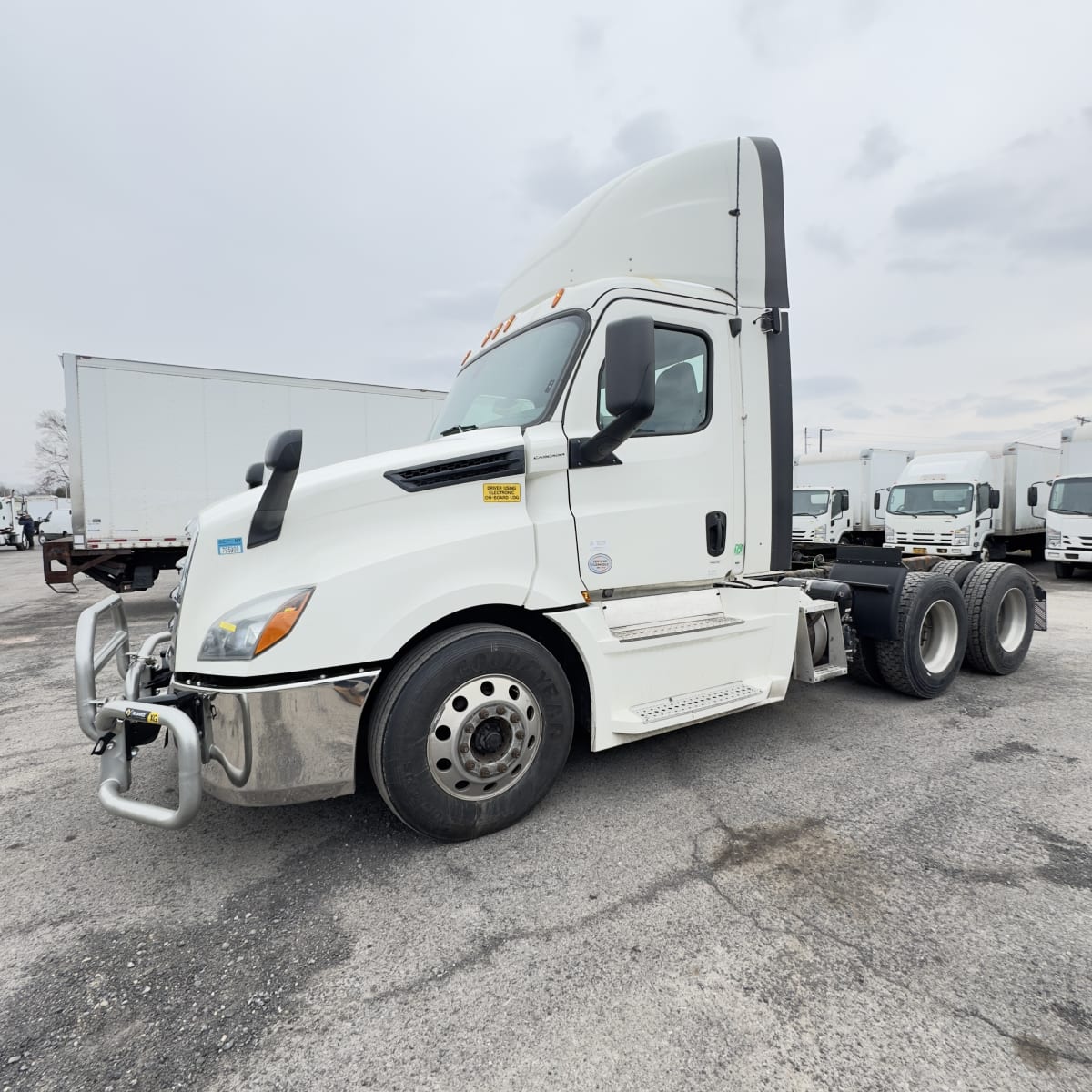 2019 Freightliner/Mercedes NEW CASCADIA PX12664 270022