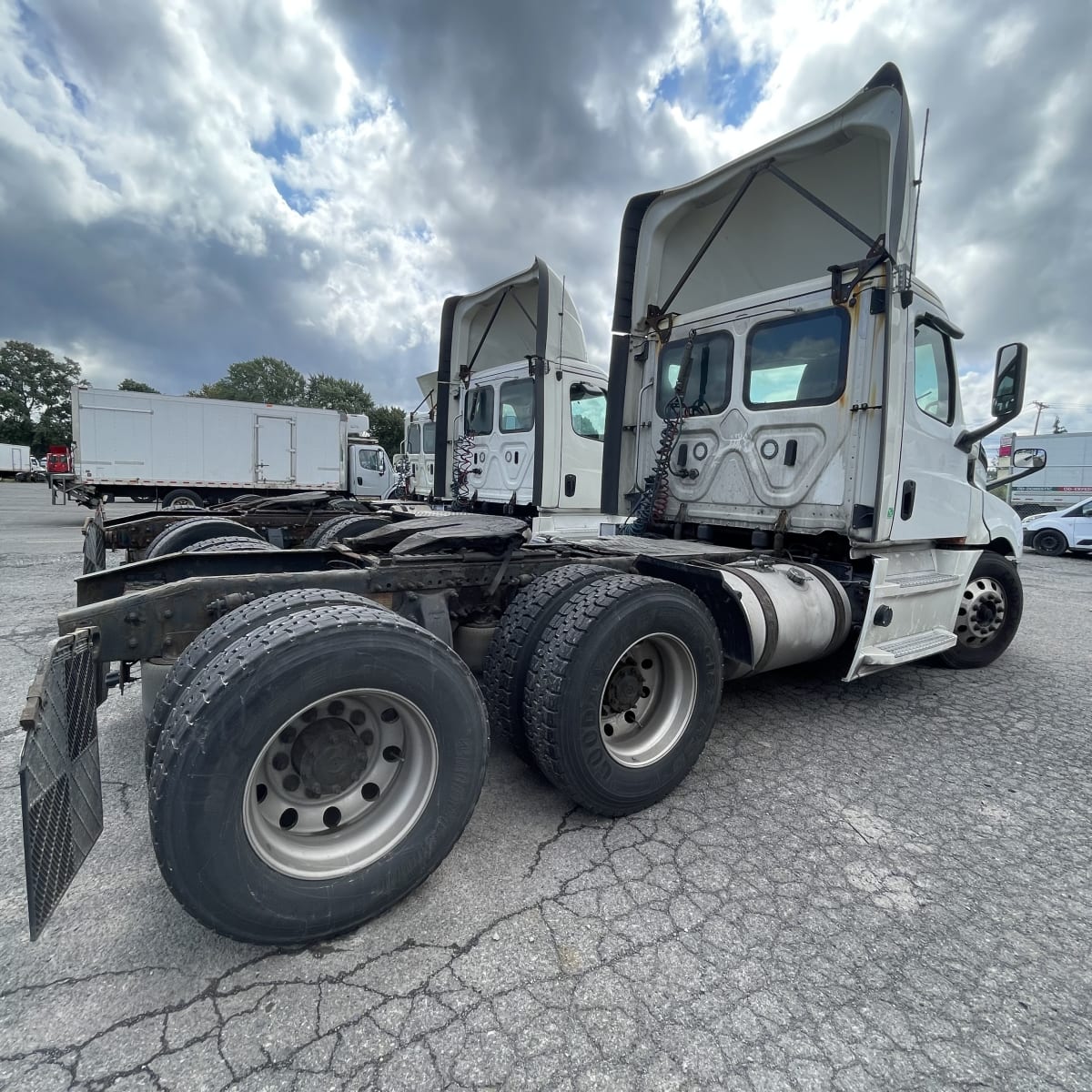 2019 Freightliner/Mercedes NEW CASCADIA PX12664 270023