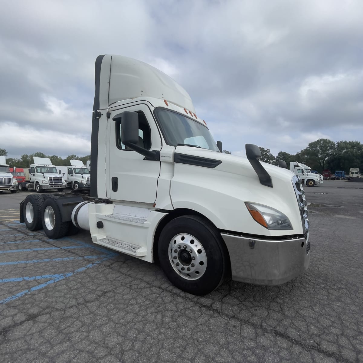 2019 Freightliner/Mercedes NEW CASCADIA PX12664 270024