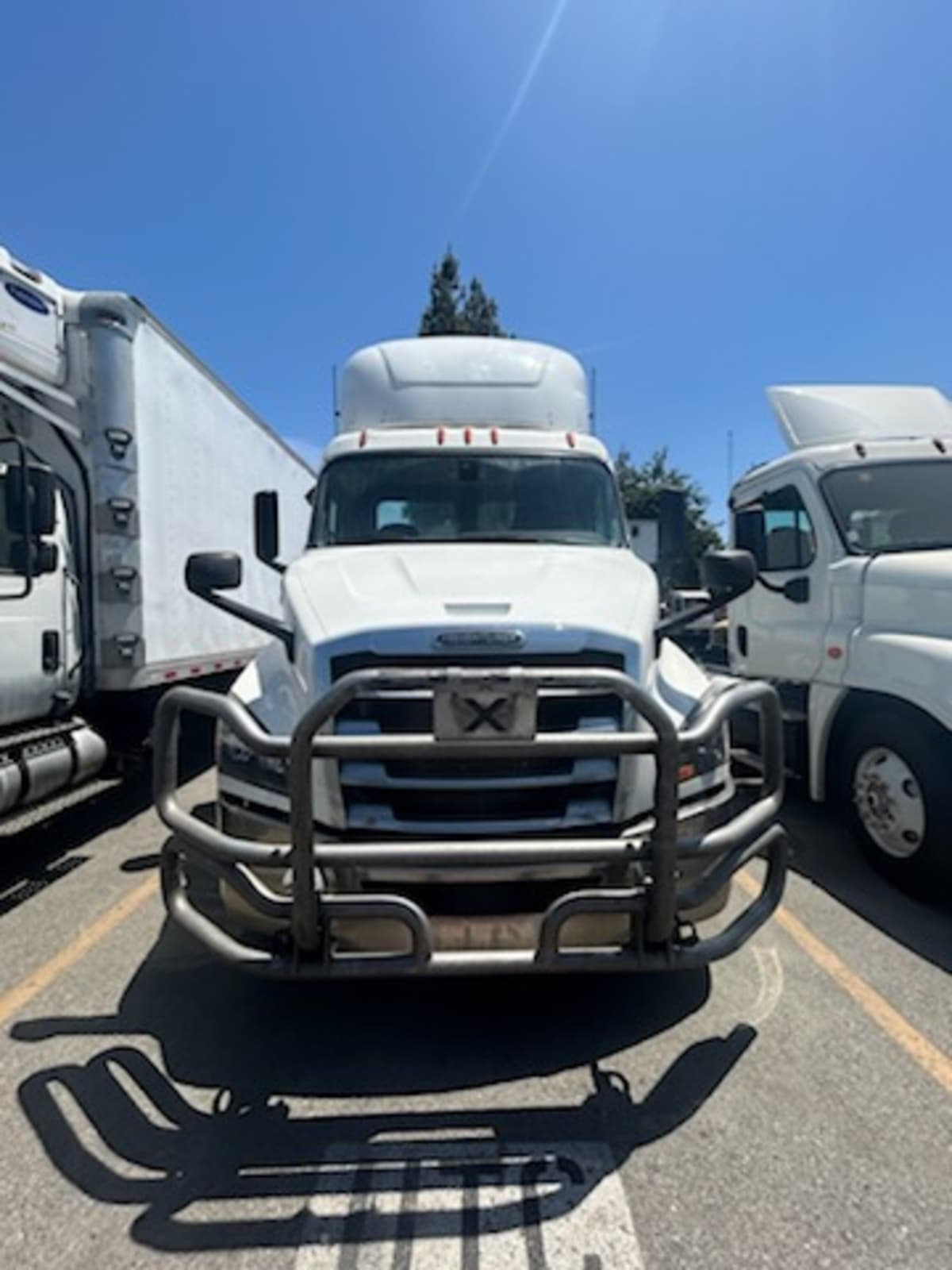 2019 Freightliner/Mercedes NEW CASCADIA 116 270044