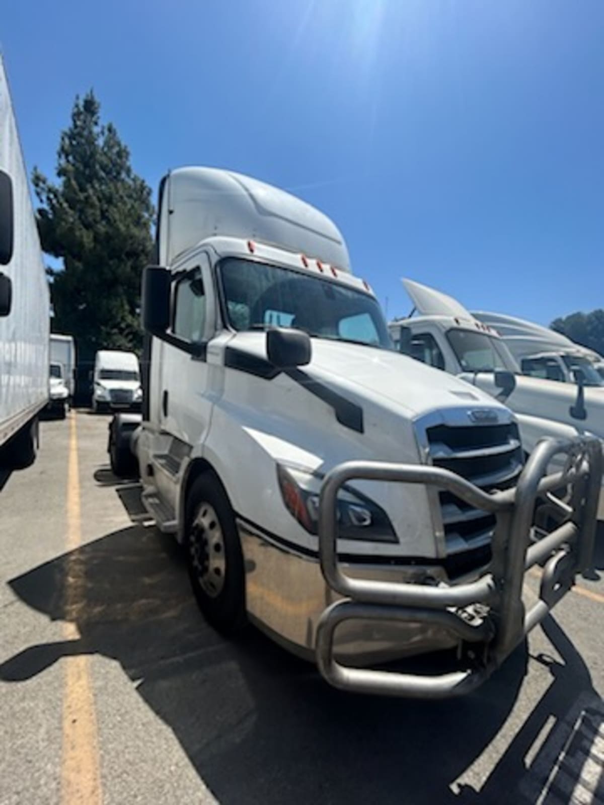 2019 Freightliner/Mercedes NEW CASCADIA 116 270044