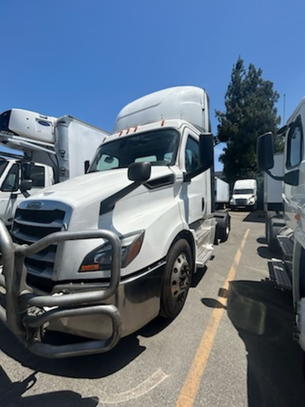 2019 Freightliner/Mercedes NEW CASCADIA 116 270044