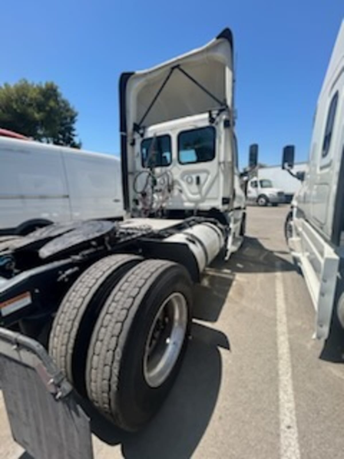 2019 Freightliner/Mercedes NEW CASCADIA 116 270051