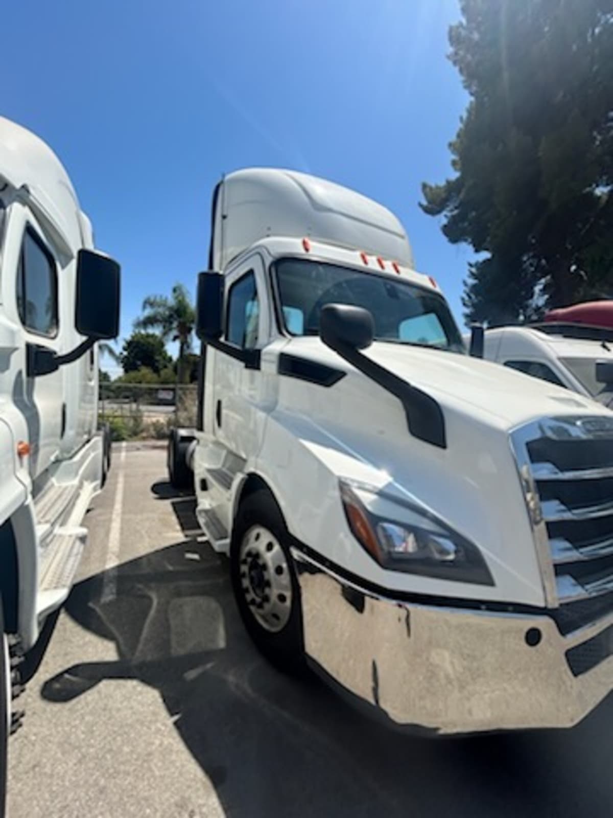 2019 Freightliner/Mercedes NEW CASCADIA 116 270051