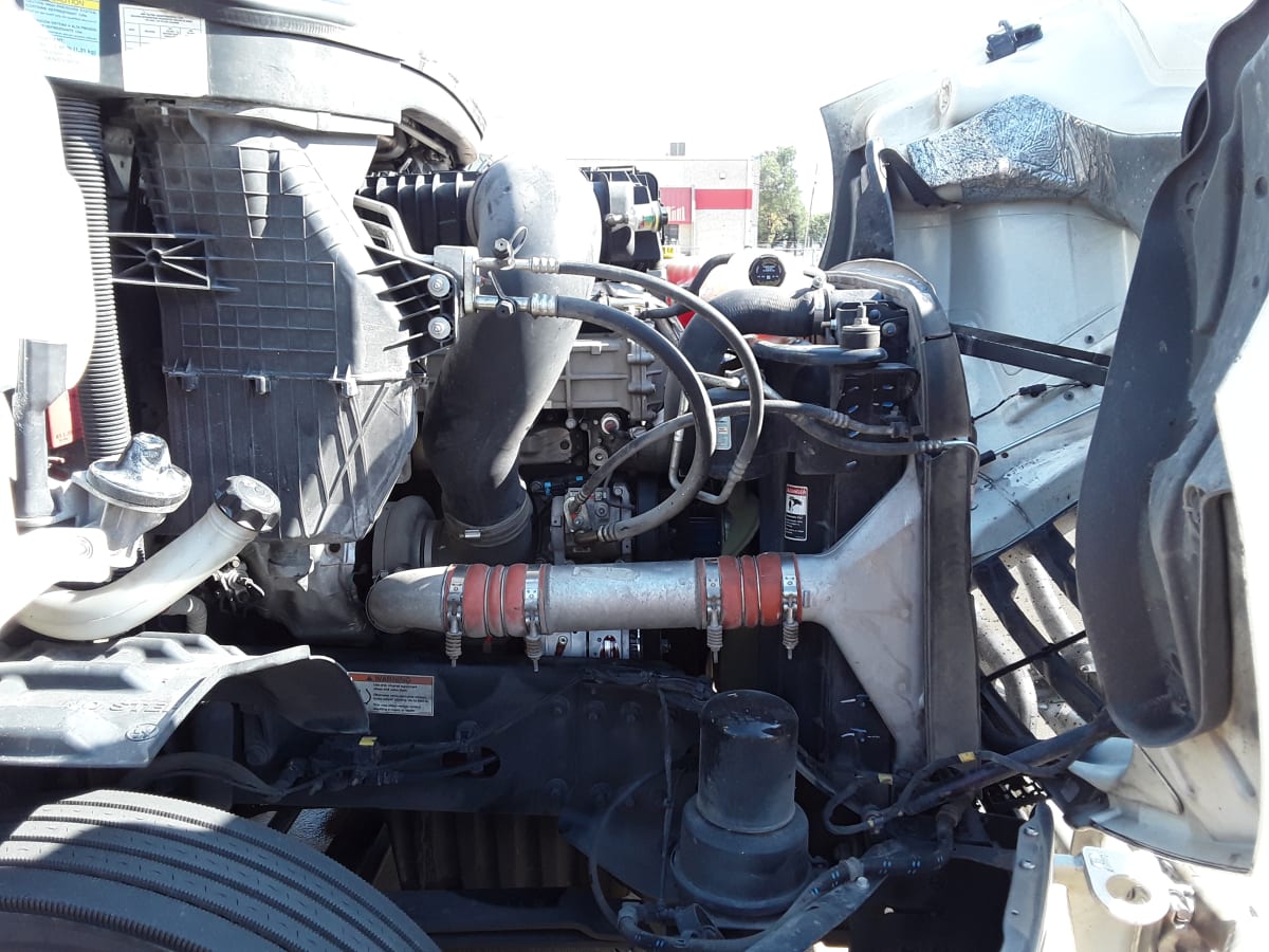 2019 Freightliner/Mercedes NEW CASCADIA 116 270064