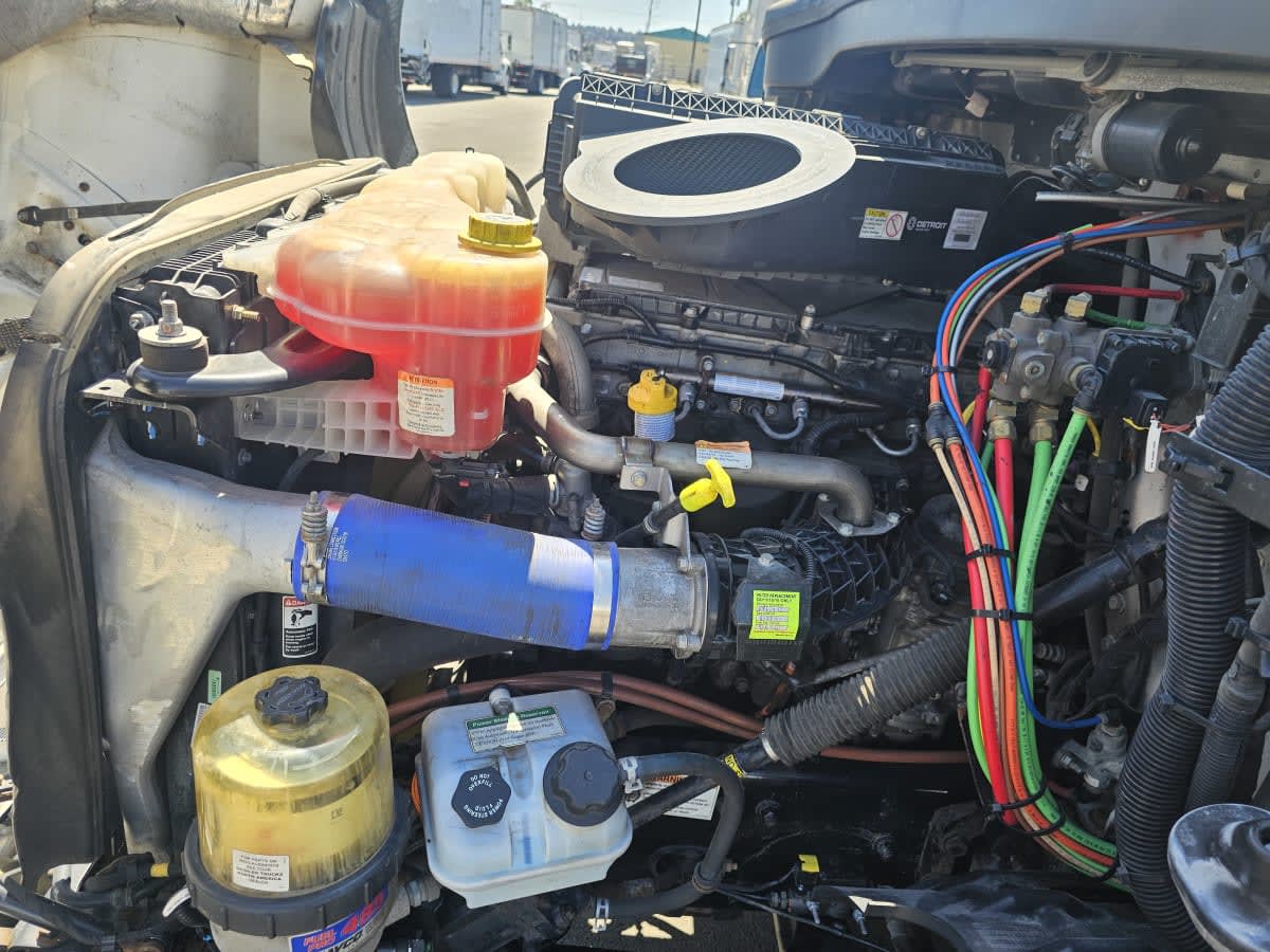 2019 Freightliner NEW CASCADIA 116 270081