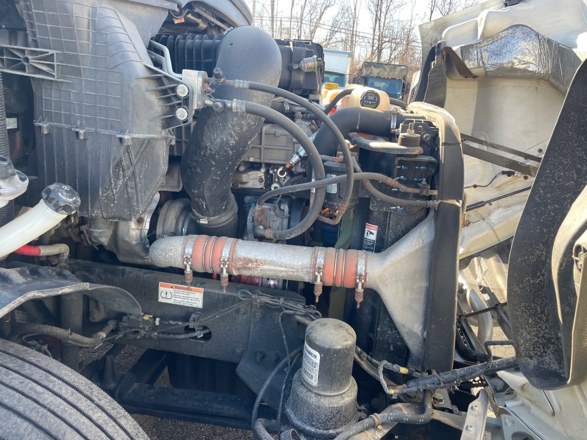 2019 Freightliner/Mercedes NEW CASCADIA 116 270102