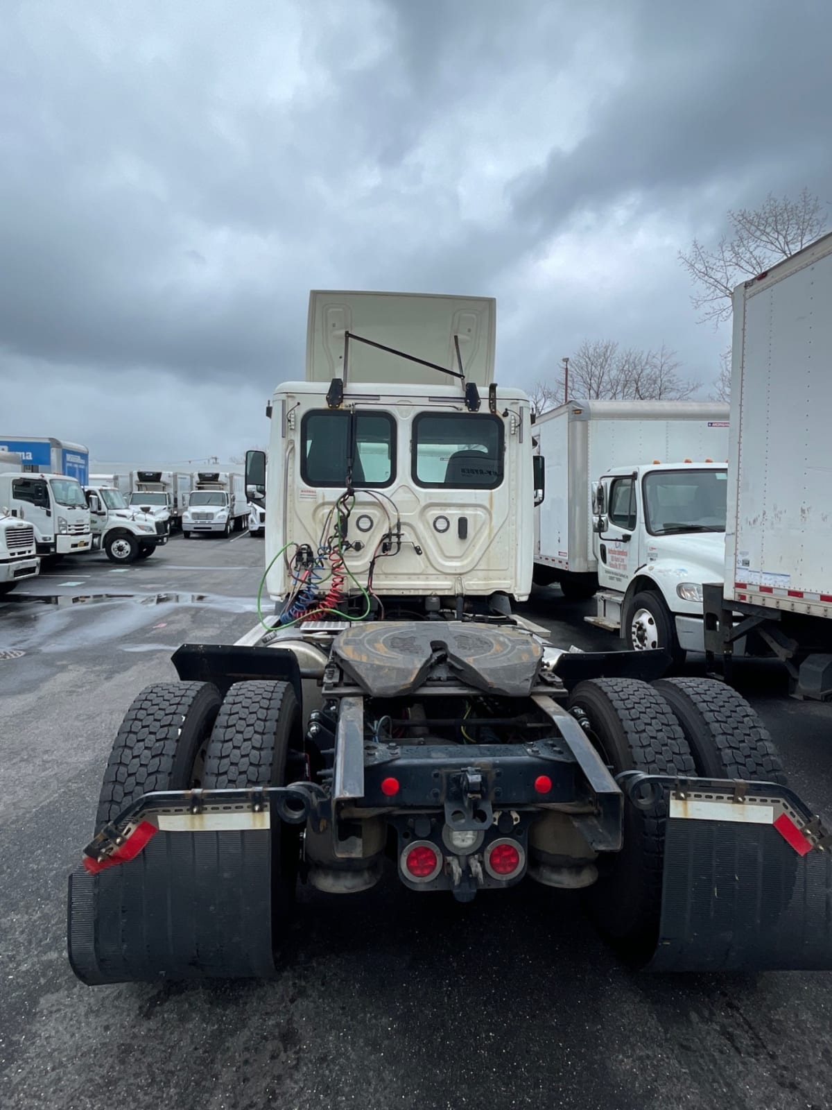 2019 Freightliner/Mercedes NEW CASCADIA 116 270106