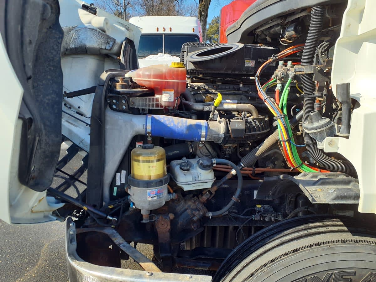 2019 Freightliner/Mercedes NEW CASCADIA 116 270164