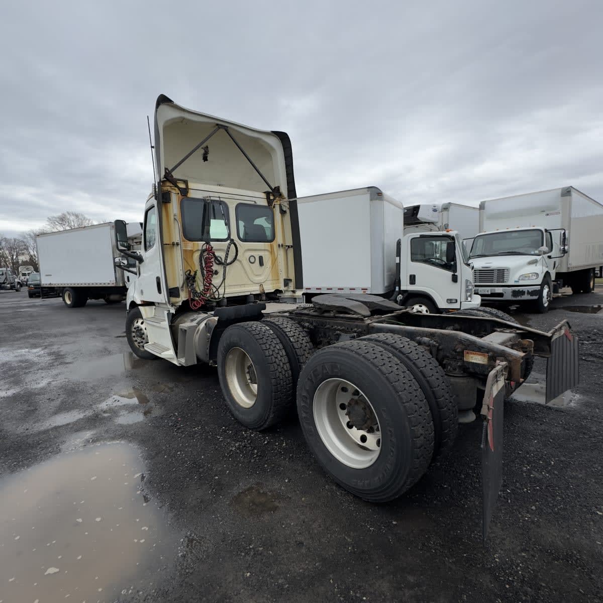 2019 Freightliner - image 6