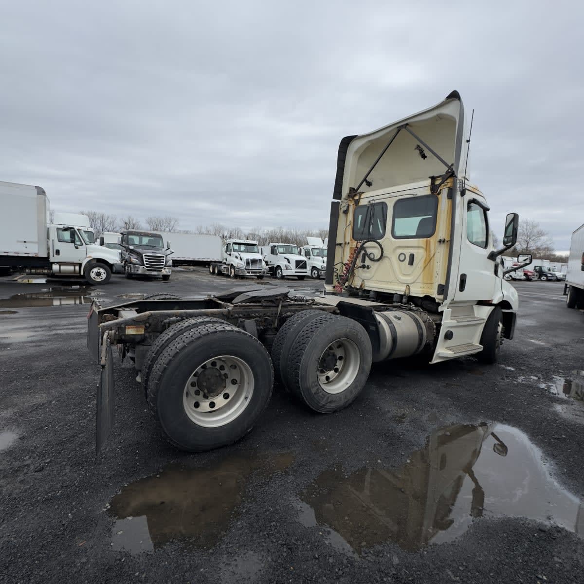 2019 Freightliner - image 4