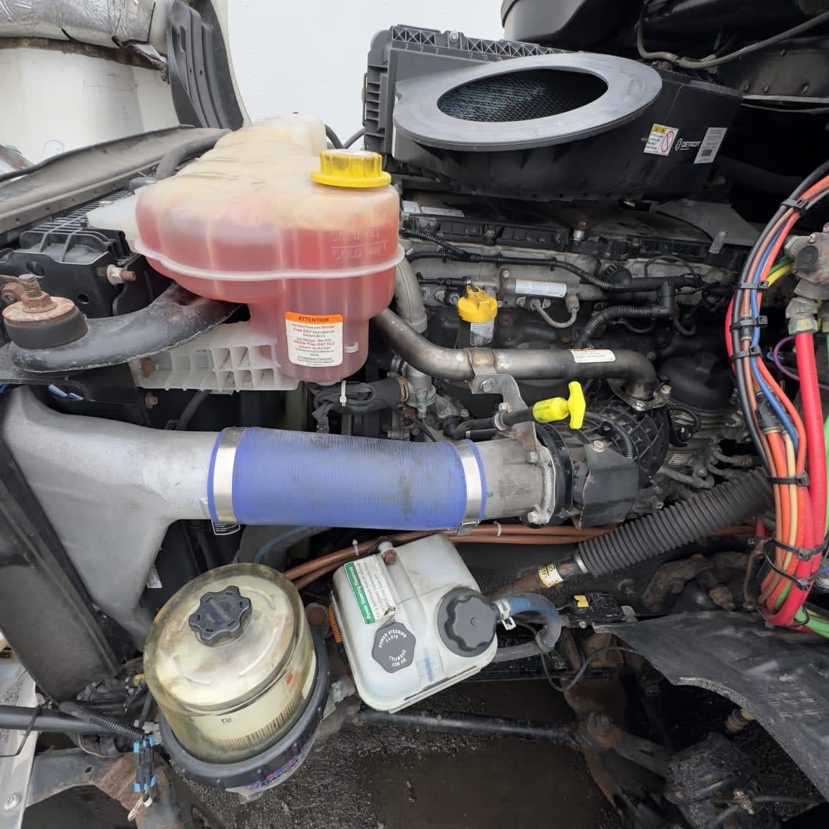 2019 Freightliner - image 8