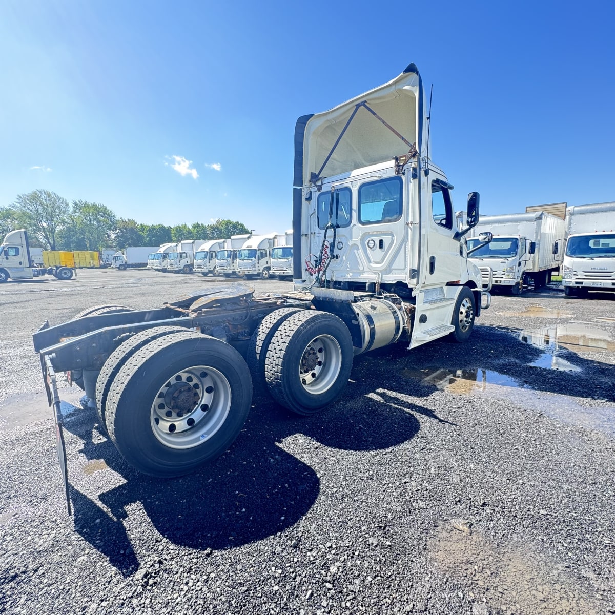 2020 Freightliner/Mercedes NEW CASCADIA 116 270215